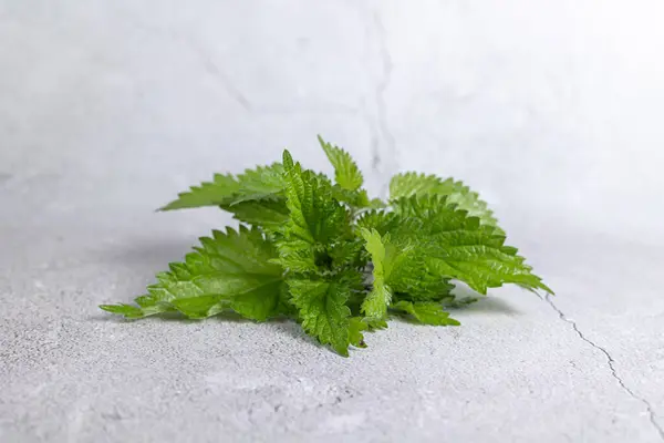 Bunch Fresh Nettles Table Stock Picture