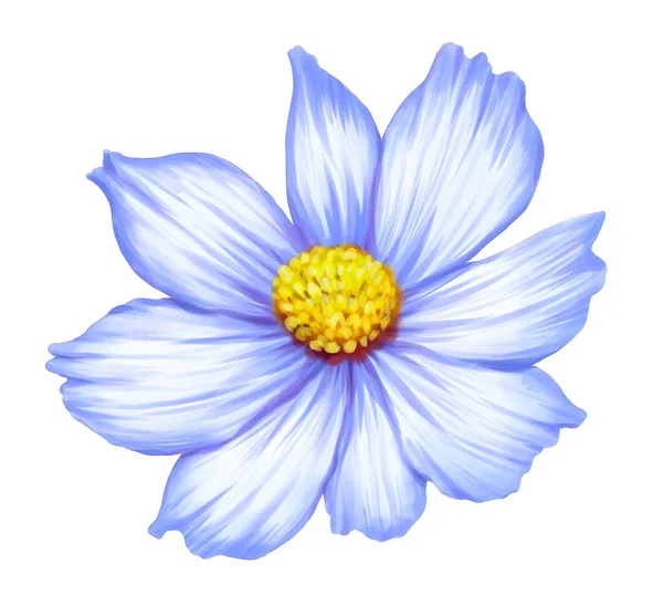 Квіткова Рослина Акварельний Стиль — стокове фото
