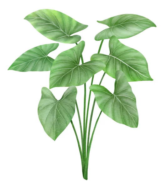 Süslü Bitki Suluboya Stili — Stok fotoğraf