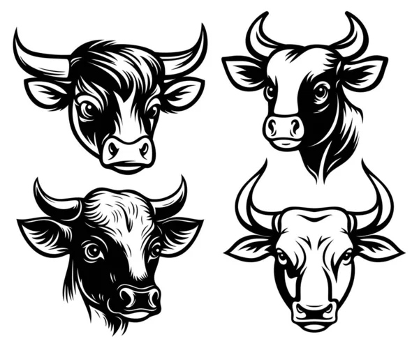 Illustration Tête Taureau Vache — Image vectorielle