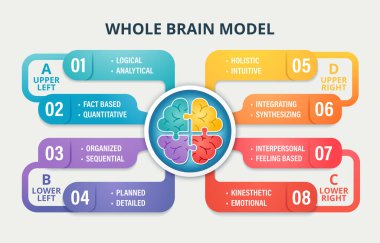 Beyin Modeli 'nin tamamı dört düşünme çeyreğini gösteriyor: analitik, sıralı, duygusal ve bütünsel. Renk kodlu beyin bölümleri eğitim, liderlik ve kişisel gelişim için bilişsel çeşitliliği ve düşünme tarzlarını temsil etmektedir..
