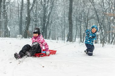 İki sevimli sevimli komik kardeş arkadaş sıcak ceket giyip kar fırtınası kış gününde soğuk karlı orman manzarasına karşı şehir parkında veya ormanda kızakla kayarken eğleniyorlar. Açık hava çocuk aktivitesi.