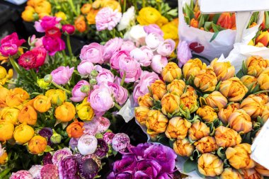 Many multicolored fresh peonies bouquets background. Dutch flower market stall or store. Wholesale warehouse and retail flower shop. Florist design service. Woman or Valentines day gift present.