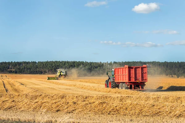 Big Modern Tractor Trucker Machine Full Loaded Grain Silage Wagon Imagem De Stock