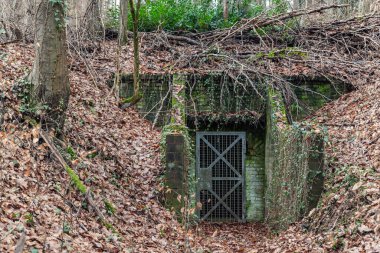 İkinci Dünya Savaşı 'ndan kalma terk edilmiş beton askeri sığınak. Orman ormanlarına gizlenmiş. Kış mevsiminde Alman-Fransız batı duvarı sınırına düşen yapraklar. Kapalı ızgara kapı sığınağı gizli güçlendirme.