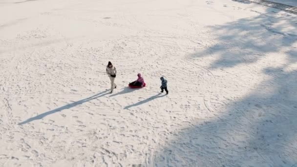 年轻的成年母亲穿着保暖的夹克 享受着滑雪橇的乐趣 两个可爱的小妹妹的男孩女孩冻结了白雪湖的田野 迎着洁白的蓝天 阳光灿烂而寒冷的冬天 — 图库视频影像