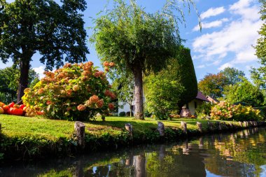 Yeşil nehir kenarındaki bahçe evinin manzarası Alman milli parkı Spreewald yaz güneşli bir günde. Nehir ormanı yeşillik kanal doğa sakin manzara Almanya 'da mavi gökyüzü arka planı.