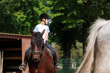 Ata binme kursu. Grup halinde at binme dersleri alan küçük çocuklar çiftlik atlarının avlusunda. Güzel kahverengi atın yanında tatlı, yeni başlayan sarışın kız çocuğu..