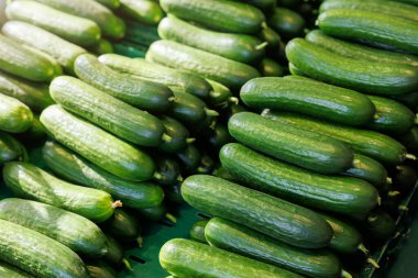 Yakından bakıldığında, güneşli bir günde, pazar yerinde taze meyve suyu yeşili, küçük yerel çiftçilerin salatalıkları görülüyor. Yerel yerel organik sebzeler. Sürdürülebilir tarım.