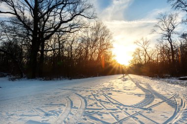 Manzaralı kış manzarası soğuk orman boyunca karla kaplı patika sıcak akşam günbatımı aydınlık gökyüzü arka planına sahip ağaçlar. Mevsimlik soğuk kırsal alanda alacakaranlık güneşi manzarası.