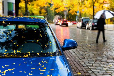 Moody scenic view modern blue car windshield covered golden yellow fallen leaves parked wet city street on autumn rainy day. Overcast sky rain  road drive. Seasonal weather conditions. clipart