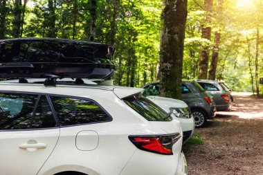 Manzaralı park yeri otoparkı arabalı çatı rafı güneşli doğa ormanlarına karşı. Aile tatili seyahati..