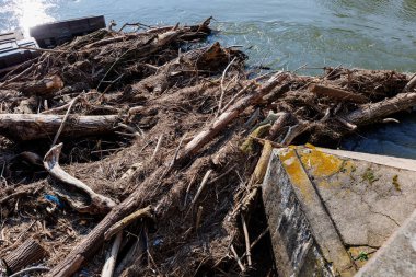 Karışık, ölü kütük yığınları kurumuş yaprak atığı çöpleri, ilkbahar selinde nehirde köprü sütunlarını koruyan bariyer oluşturur. Reçel ahşap kütükler su akışı tıkanıklığı.