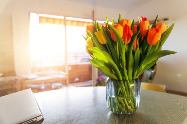 Masanın üzerinde çok güzel renkli lale buketi vazosu var. Dizüstü bilgisayarın üstünde. Güneş batıyor. Çiçek açan oturma odası dekorasyon tarzı.
