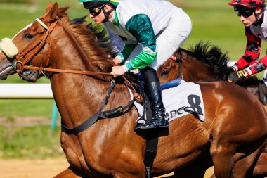 26 Nisan 2025 - Magdeburg, Almanya: Güneşli bir günde yeşil çimen yarış pistinde safkan atlar yarıştıran bir grup jokey. Sürücüler rengarenk üniforma giyerler. Etrafı yarış raylarıyla çevrili..