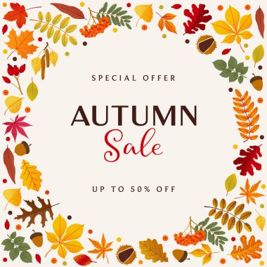 Farklı Renkli Sonbahar Yaprakları ile Sınır Meydanı Çerçeveleri. Sonbahar İndirim Şablonu