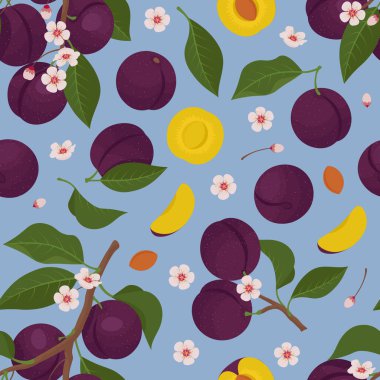 Çiçek açan erik dalları pürüzsüz bir desende. Elle çizilmiş düz biçimli vektör illüstrasyonu