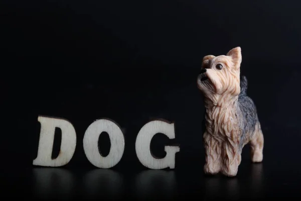 Miniature Figurine Yorkshire Dog Word Dog Black Background — Stock Photo, Image