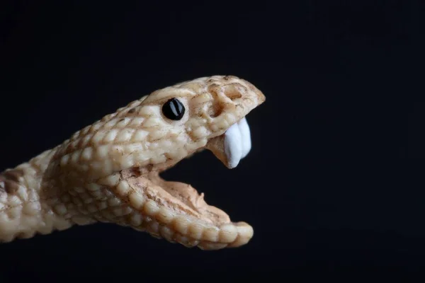 黑色背景上的玩具蛇头像特写 — 图库照片
