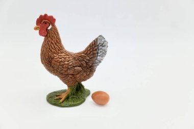 Tavuk ve tavuk yumurtaları bir tabakta. Beyaz arka planda tavuk