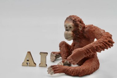 A harfli bir maymun oyuncağı.