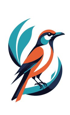 kuş vektör çizim şablonu