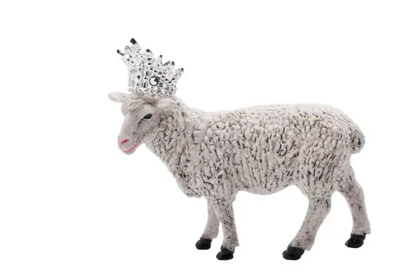 stock image white lamb or sheep with a crown on the head