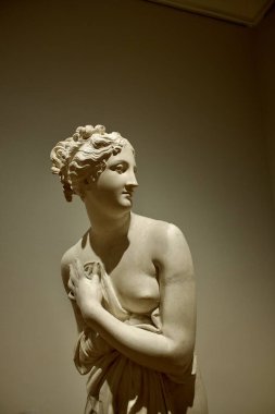 Bassano del Grappa, İtalya - 12 26 2024: İtalyan Venüs veya venere italica, Antonio Canova tarafından 1810 yılında yapılmış bir mermer çalışmadır.
