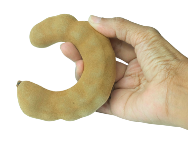 Elinizde büyük bir demirhindi kabuğu var. Taze yemek ya da pişirmek için kullanılan ekşi bir meyve..