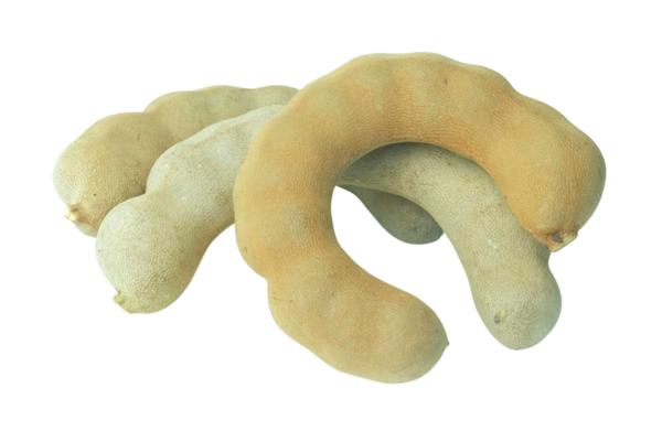 Kahverengi tamarind meyvesi yığını sert kabuklu ekşi bir meyve ve içinde yumuşak posa, taze yemek için kullanılır ya da ekşi bir tat gerektiren Tayland yemeklerinde malzeme olarak kullanılır..