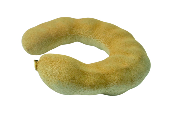 Büyük kahverengi bir tamarind meyvesi. Taze ve bereketli vitamin ve mineraller pişirmek veya yemek için kullanılan ekşi bir meyve..