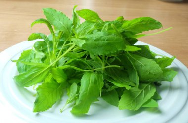 Taze kutsal fesleğen yaprakları, beyaz bir tabağa toplanmış ve yerleştirilmiş, lezzetli ve besleyici bir yemek için kullanılmaya hazır..