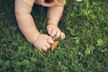 Baby's hands touching grass for the first time.