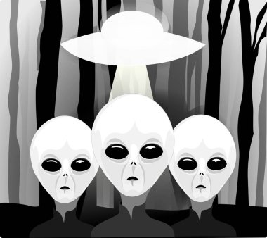 Üçüncü aşamada Buluşmaları