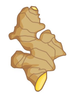 Bu bir zencefil kökü çizimi.