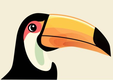 Bir Toucan 'ın çizimi
