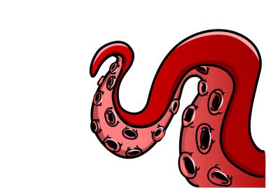 Ahtapot dokunaçlarının çizimi