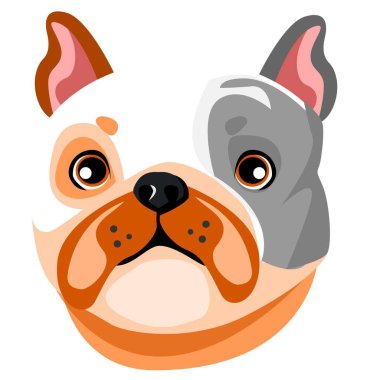 Fransız Bulldog 'un liderinin resmi.