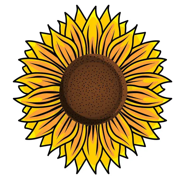 Bu bir ayçiçeği çizimi.