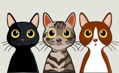 Bu bazı kedilerin resmi.