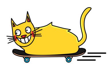 Bir kaykaycı kedinin resmi