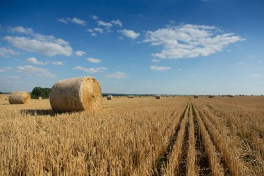 Hasattan sonra temiz bir tarlada buğday balyaları. Kırsal alan. Ukrayna.