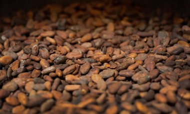 Cocoa beans close-up, top view. High quality photo clipart