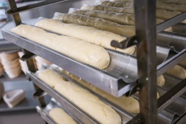 Hamur hamuru fırında pişirmek için hazırlandı. Prodüksiyonda gerçek fotoğraf. 