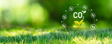 Karbondioksit, CO2 emisyonları, karbon ayak izi konsepti