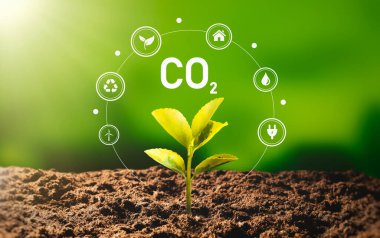 Karbondioksit, CO2 emisyonları, karbon ayak izi konsepti
