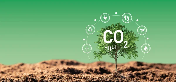 Carbon dioxide, CO2 emissions, carbon footprint concept