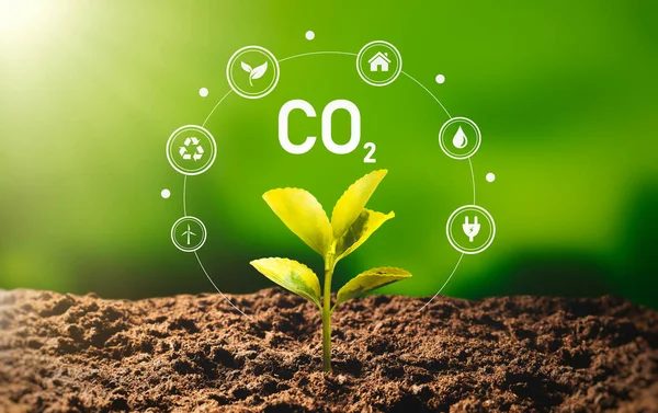 Kohlendioxid Co2 Emissionen Co2 Fußabdruckkonzept Stockbild