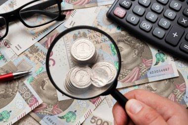 Man using mangifier, polish money concept, PLN currency