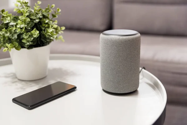 Smart speaker device in living room. Smart home system